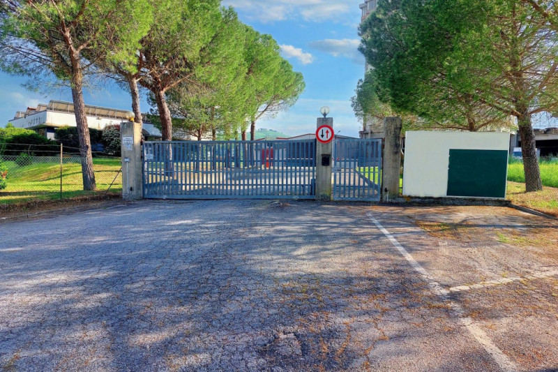 Immagine 19 di Capannone industriale in vendita  in Loc. Olmini, Via Santa Maria (SP 306), N. snc a Panicale