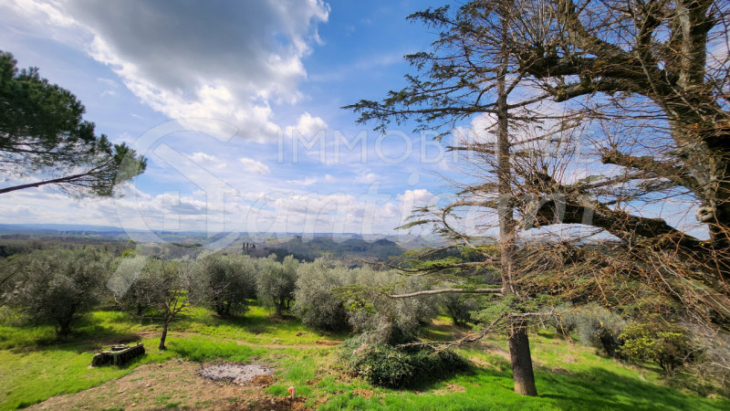 Immagine 20 di Appartamento in affitto  in via grevigiana a San Casciano In Val Di Pesa