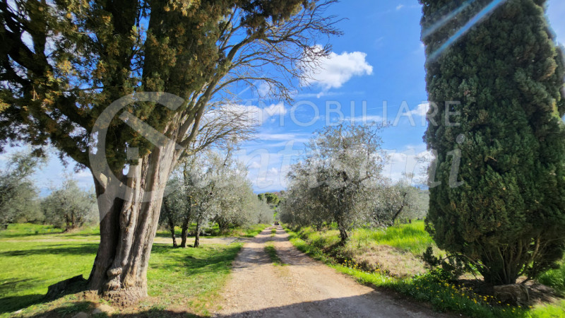 Immagine 21 di Appartamento in affitto  in via grevigiana a San Casciano In Val Di Pesa