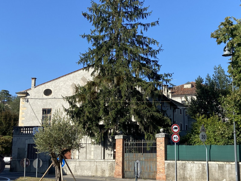 Immagine 7 di Casa indipendente in vendita  a Lonigo