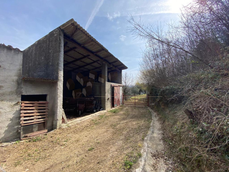 Immagine 5 di Rustico / casale in vendita  a Val Liona