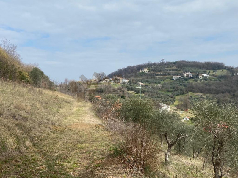 Immagine 6 di Rustico / casale in vendita  a Val Liona