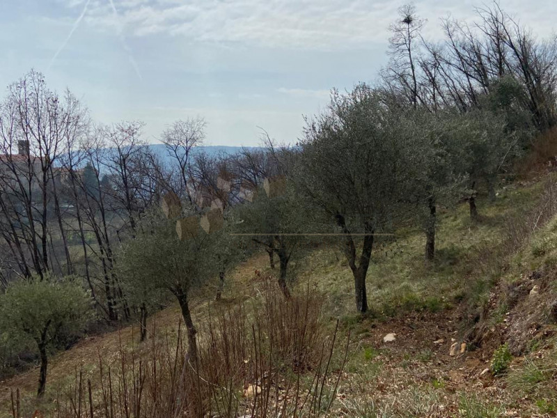 Immagine 13 di Rustico / casale in vendita  a Val Liona