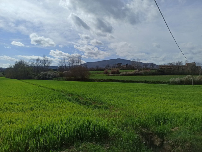 Immagine 14 di Appartamento in vendita  in Ponticelli a Città Della Pieve