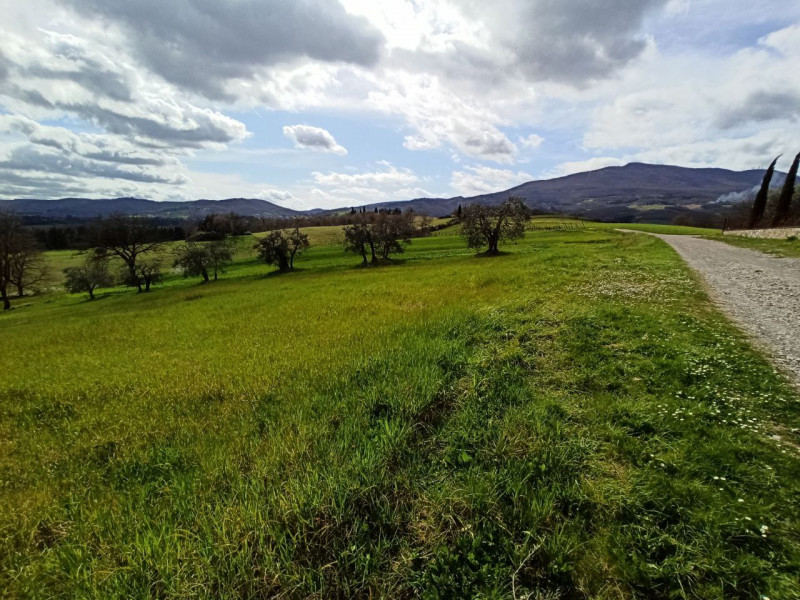 Immagine 15 di Appartamento in vendita  in Ponticelli a Città Della Pieve