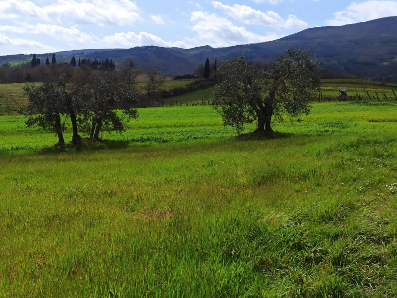 Immagine 16 di Appartamento in vendita  in Ponticelli a Città Della Pieve