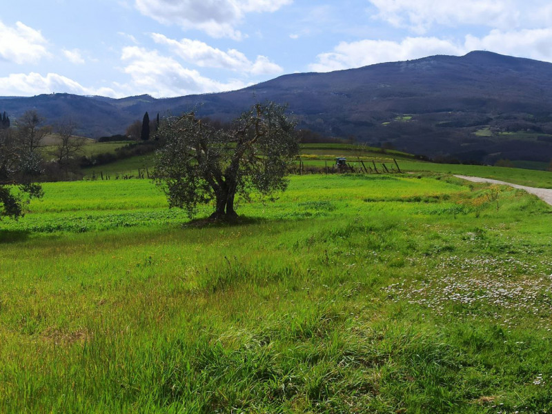 Immagine 17 di Appartamento in vendita  in Ponticelli a Città Della Pieve
