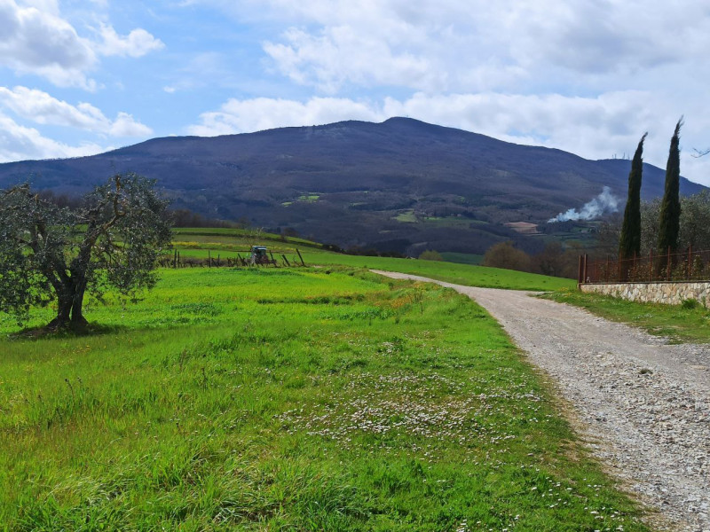 Immagine 18 di Appartamento in vendita  in Ponticelli a Città Della Pieve