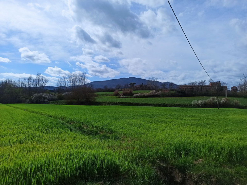 Immagine 21 di Appartamento in vendita  in Ponticelli a Città Della Pieve