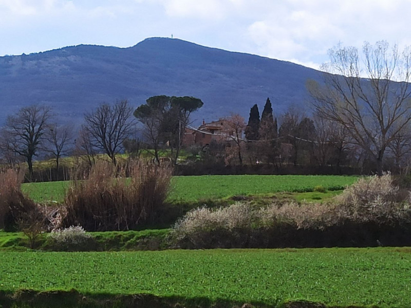 Immagine 22 di Appartamento in vendita  in Ponticelli a Città Della Pieve