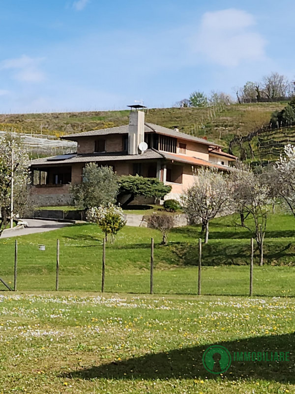 Foto annuncio 1