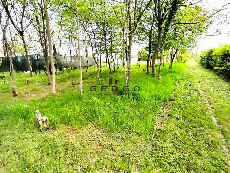 Immagine 17 di Casa indipendente in vendita  in via Belvedere a Pramaggiore