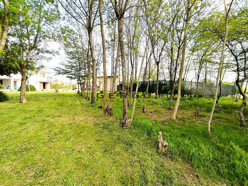 Immagine 18 di Casa indipendente in vendita  in via Belvedere a Pramaggiore