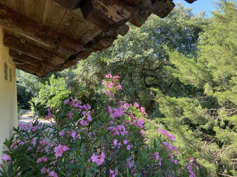 Immagine 3 di Rustico / casale in vendita  a Sarego