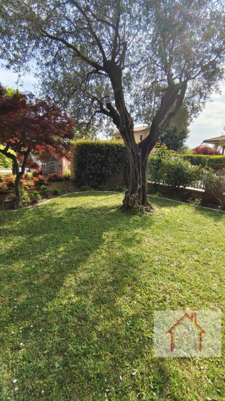 Immagine 10 di Villa in vendita  a Arcade