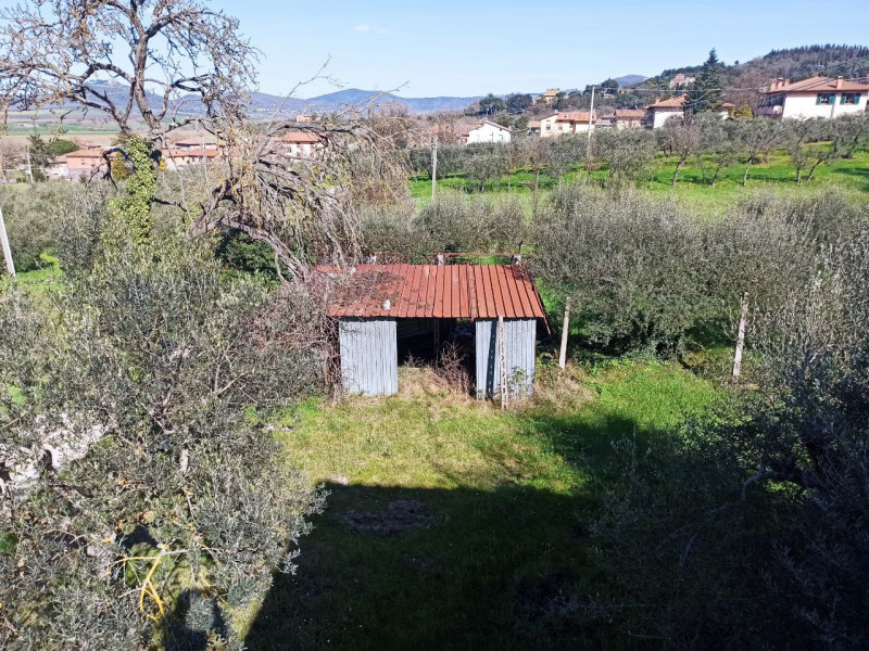 Immagine 13 di Rustico / casale in vendita  in Colgiordano a Panicale