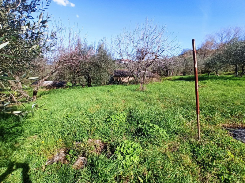 Immagine 14 di Rustico / casale in vendita  in Colgiordano a Panicale