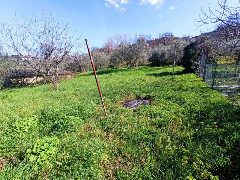 Immagine 15 di Rustico / casale in vendita  in Colgiordano a Panicale