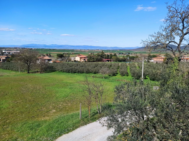 Immagine 20 di Rustico / casale in vendita  in Colgiordano a Panicale