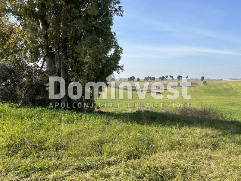 Immagine 5 di Terreno in vendita  in Via Tiburtina Valeria a Guidonia Montecelio