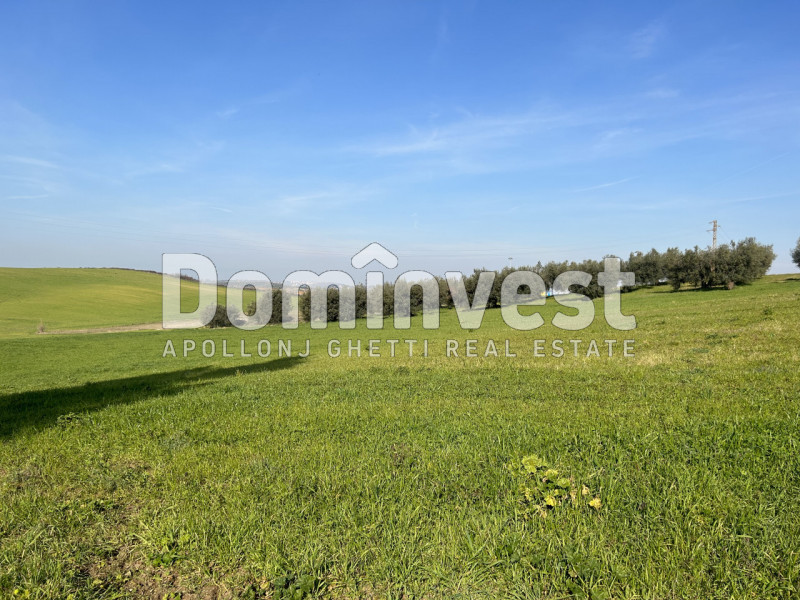 Immagine 7 di Terreno in vendita  in Via Tiburtina Valeria a Guidonia Montecelio