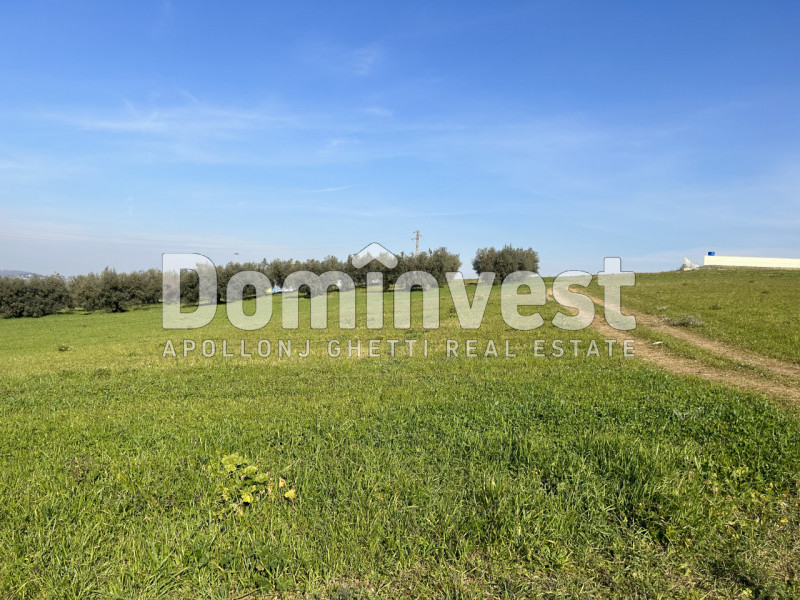 Immagine 9 di Terreno in vendita  in Via Tiburtina Valeria a Guidonia Montecelio