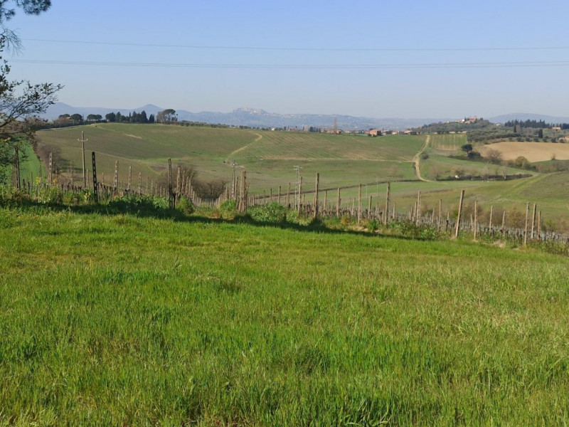 Immagine 10 di Appartamento in vendita  in strada provinciale lauretana a Montepulciano