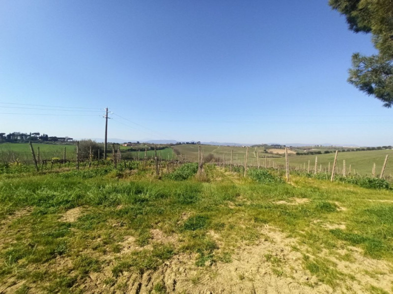 Immagine 11 di Appartamento in vendita  in strada provinciale lauretana a Montepulciano