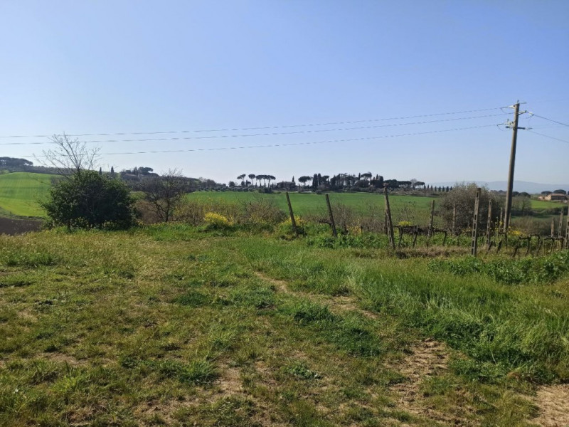 Immagine 12 di Appartamento in vendita  in strada provinciale lauretana a Montepulciano