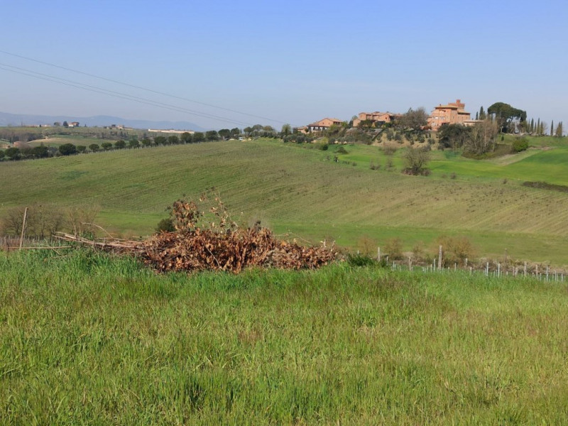 Immagine 13 di Appartamento in vendita  in strada provinciale lauretana a Montepulciano