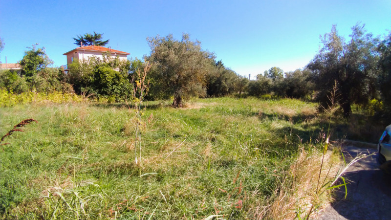 Immagine 4 di Terreno in vendita  in via di valle Romana a Passignano Sul Trasimeno