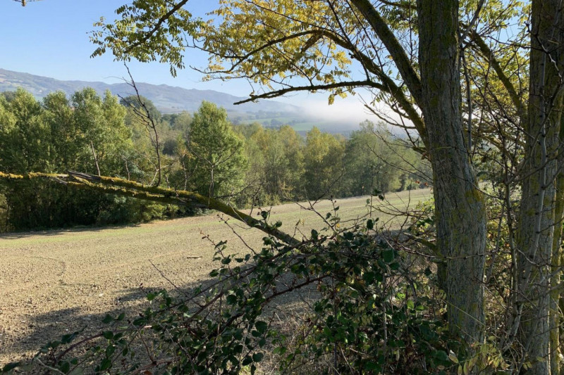 Immagine 4 di Terreno in vendita  in Località Candiracci, SP 3 – Via Flaminia Nord, N. snc a Cagli