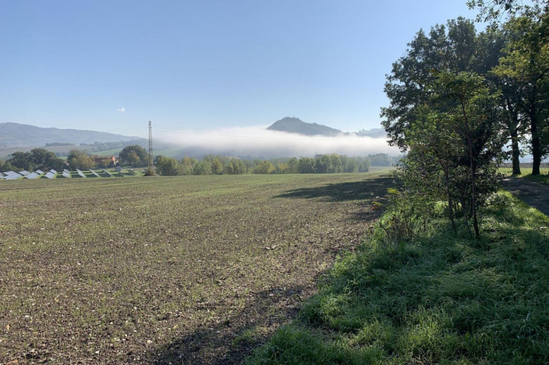Immagine 6 di Terreno in vendita  in Località Candiracci, SP 3 – Via Flaminia Nord, N. snc a Cagli