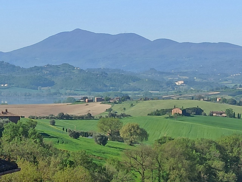 Immagine 21 di Appartamento in vendita  in Via Giuseppe Garibaldi a Castiglione Del Lago