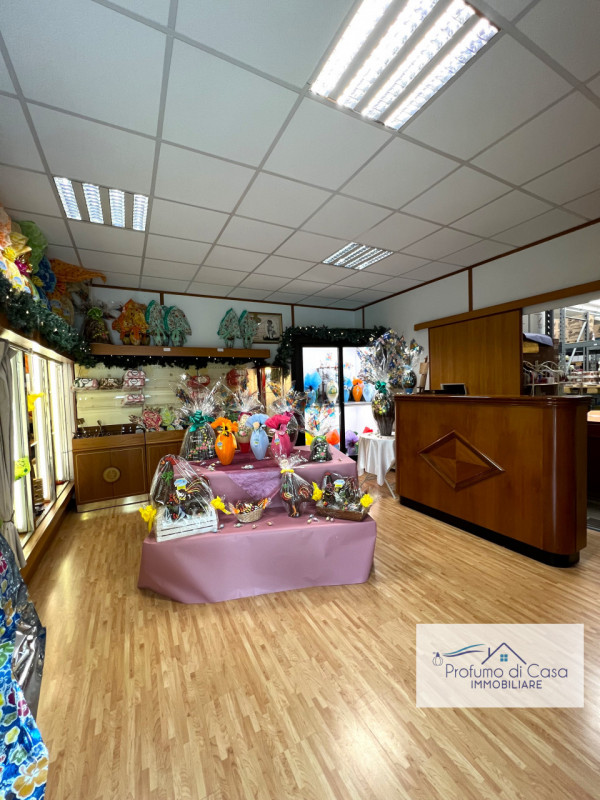 Immagine 4 di Capannone industriale in vendita  in Via Dante Alighieri a Stra