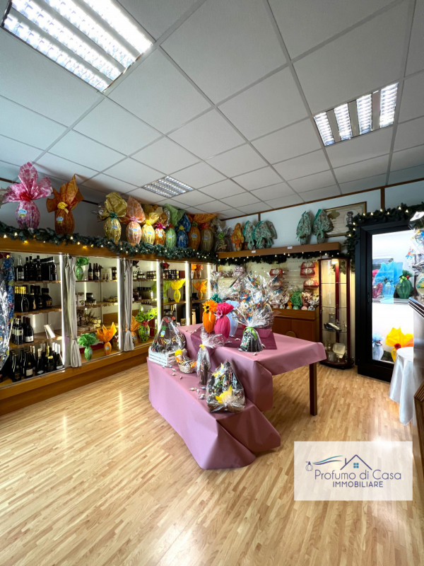 Immagine 5 di Capannone industriale in vendita  in Via Dante Alighieri a Stra