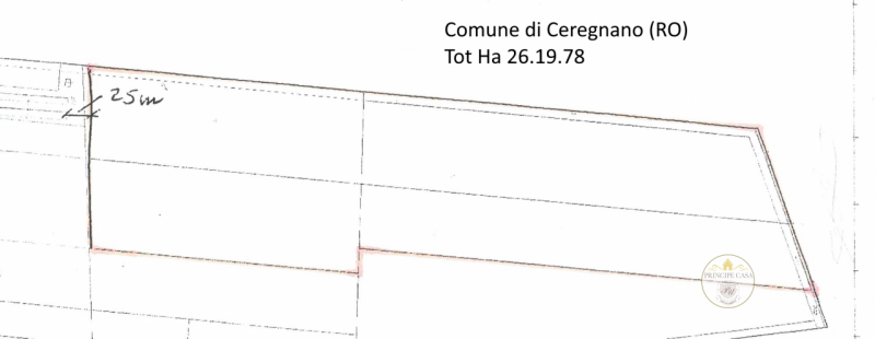 Immagine 4 di Terreno in vendita  in via giuseppe verdi a Ceregnano