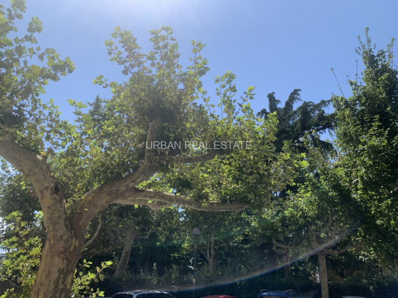 Immagine 29 di Appartamento in affitto  in Viale Miramare 37 a Trieste