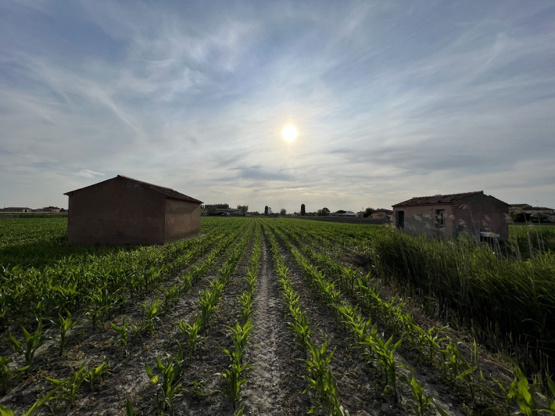 Immagine 3 di Terreno in vendita  in Via Palazzi a Chioggia