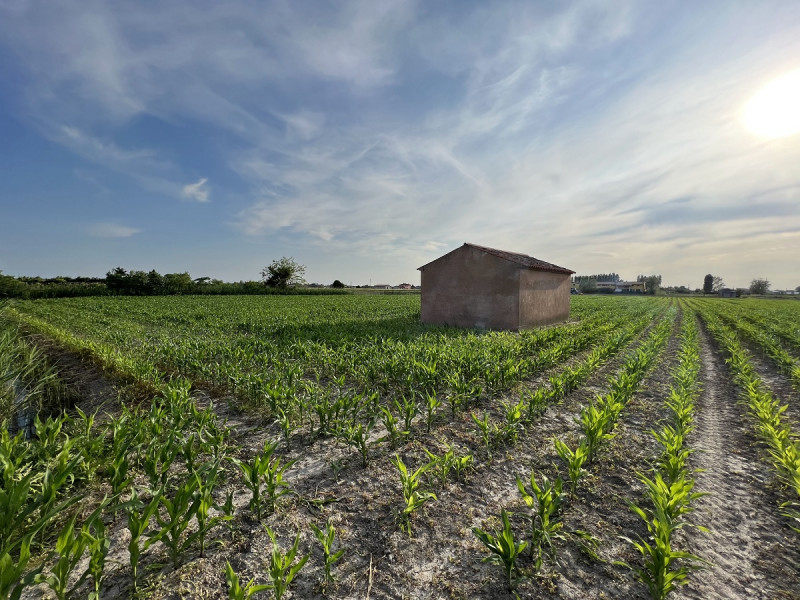 Immagine 4 di Terreno in vendita  in Via Palazzi a Chioggia