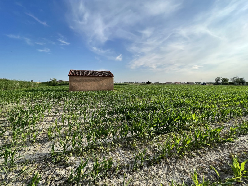 Immagine 6 di Terreno in vendita  in Via Palazzi a Chioggia
