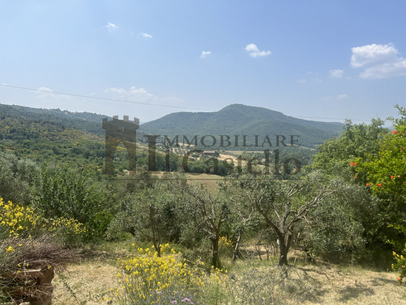 Immagine 2 di Casa indipendente in vendita  a Panicale