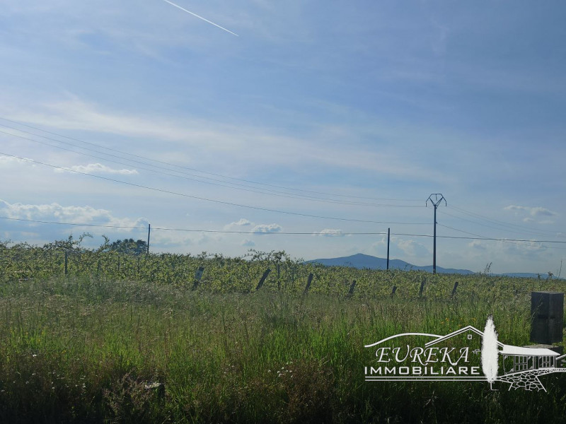 Immagine 8 di Rustico / casale in vendita  in PARRANO a Parrano