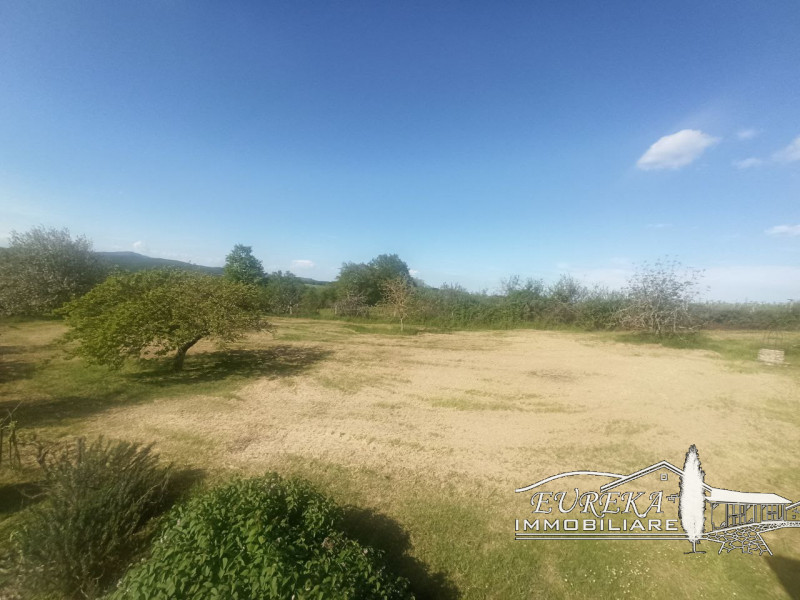 Immagine 25 di Rustico / casale in vendita  in PARRANO a Parrano