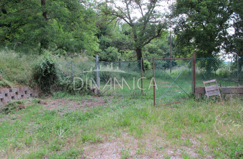 Immagine 5 di Rustico / casale in vendita  a Montaione