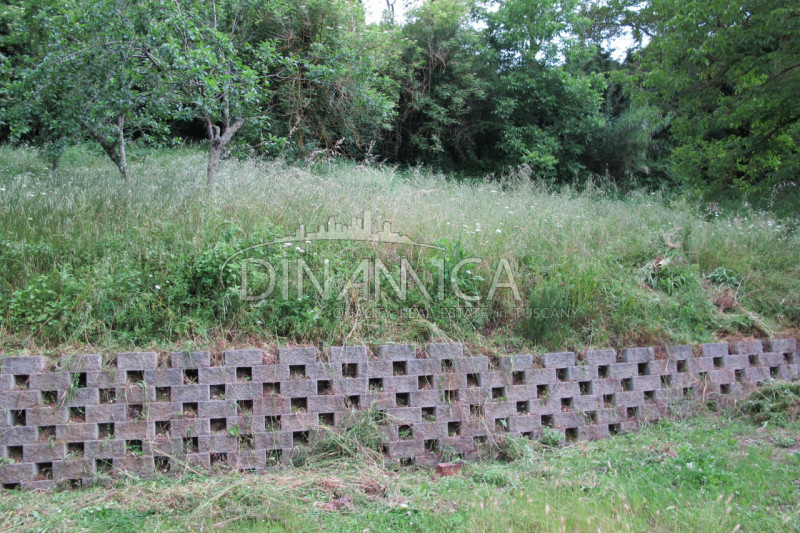 Immagine 6 di Rustico / casale in vendita  a Montaione