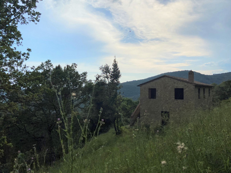 Immagine 18 di Rustico / casale in vendita  a Tuoro Sul Trasimeno