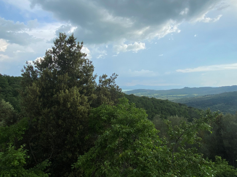Immagine 21 di Rustico / casale in vendita  a Tuoro Sul Trasimeno