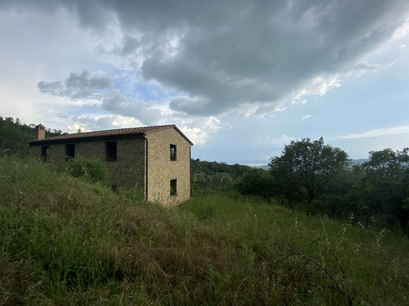 Immagine 31 di Rustico / casale in vendita  a Tuoro Sul Trasimeno