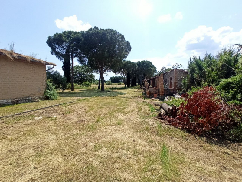 Immagine 19 di Appartamento in vendita  in Piana a Castiglione Del Lago